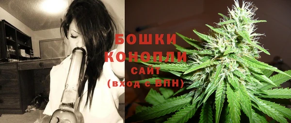 spice Абаза