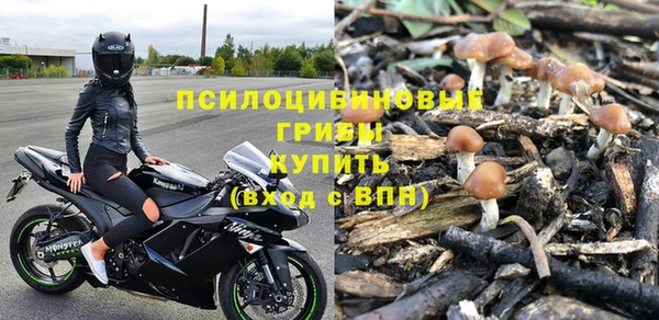 ешки Алзамай
