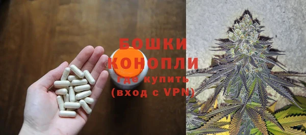 ешки Алзамай