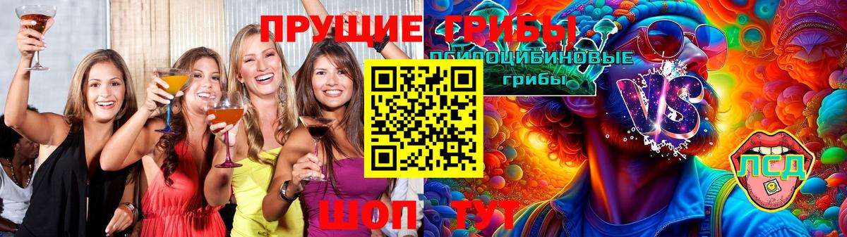 Звенигород  Галлюциногенные грибы Psilocybe  Вход с VPN 