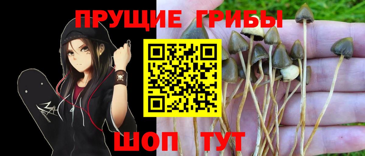 Галлюциногенные грибы ЛСД Звенигород